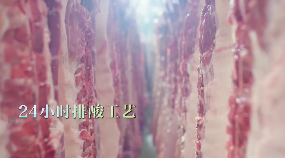 图片26
